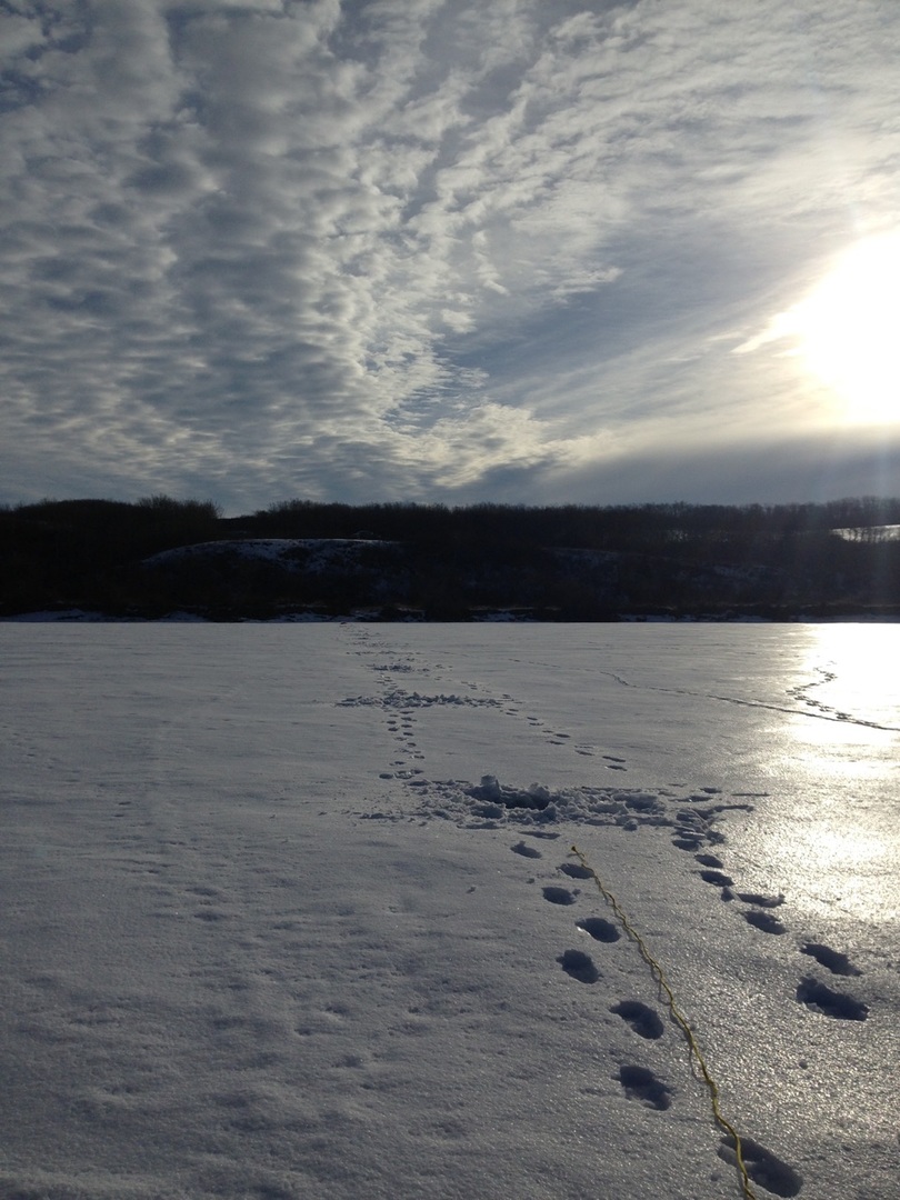 Ice surveying