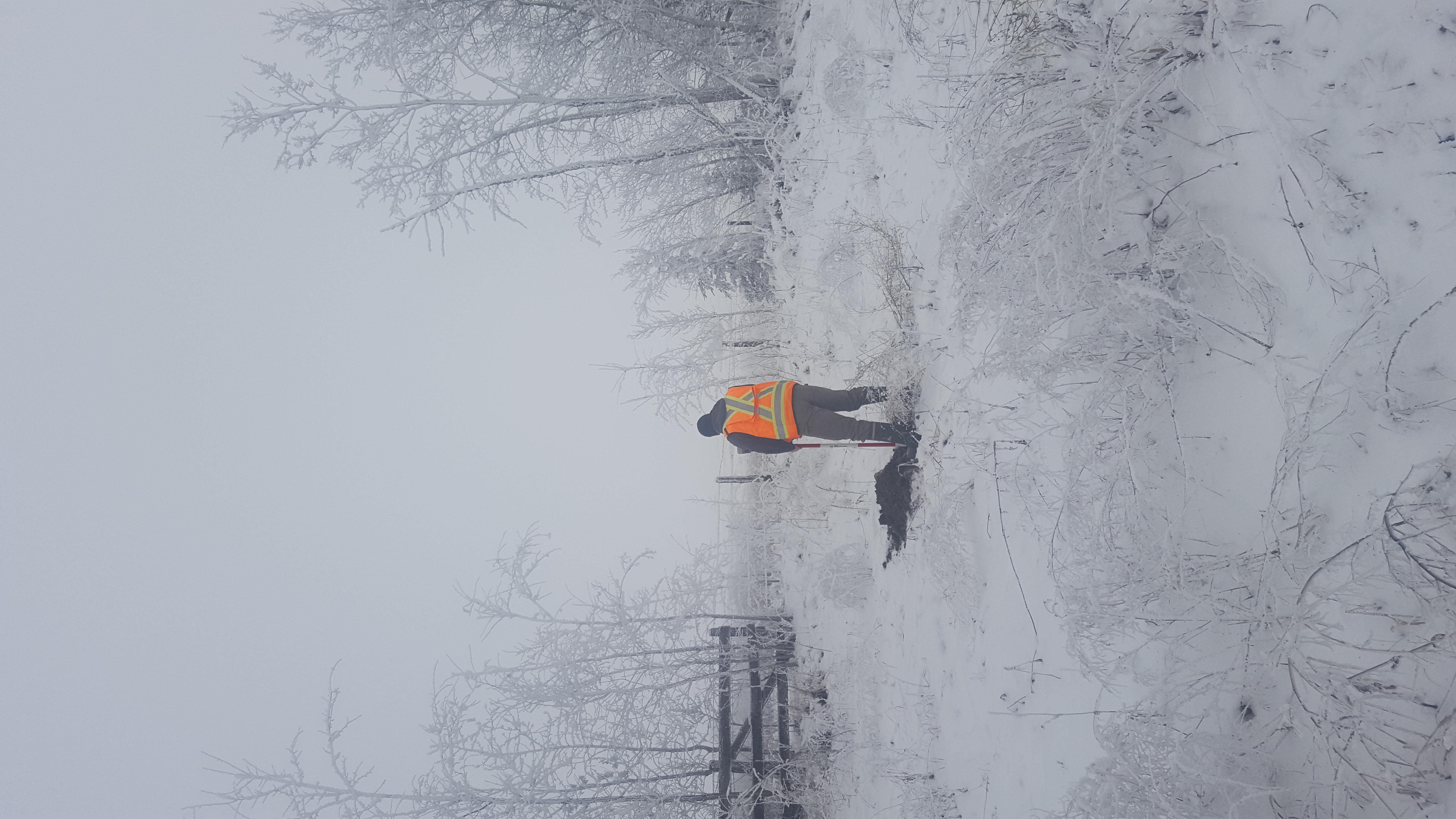 winter surveying